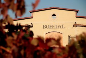Bodegas Bohedal Cuzcurrita del Río Tirón