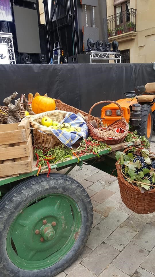 Mercadillo de Cuzcurrita de Río Tirón
