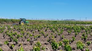 Sendero de la Ermita de Sorejana Cuzcurrita del Río Tirón
