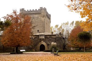 Bodegas Castillo de Cuzcurrita de Río Tirón